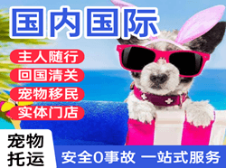 塔城千泉机场空运国际宠物托运 【国